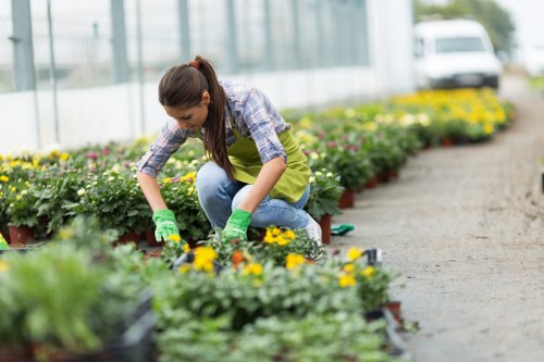 Team member inspecting a garden bed for compliance