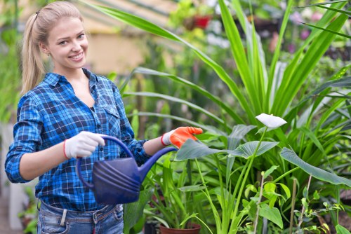 Inspector reviewing garden maintenance records and site photos