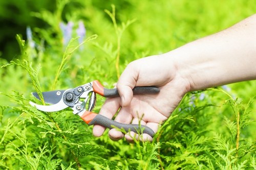Customer documenting an issue with garden maintenance using a photograph